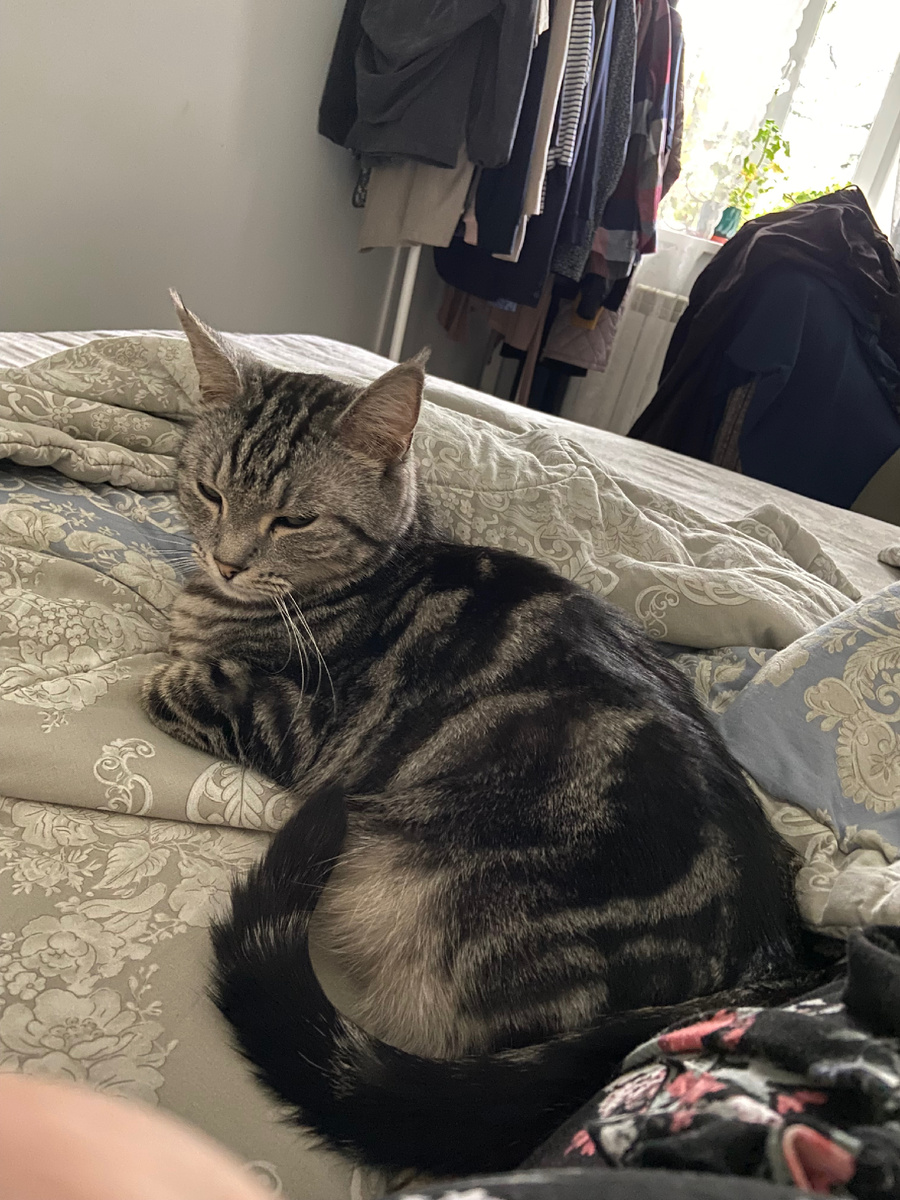 Малыш на страже моего сна.