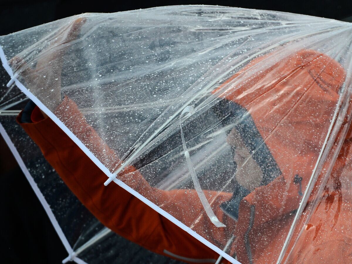    Дождь© РИА Новости / Рамиль Ситдиков