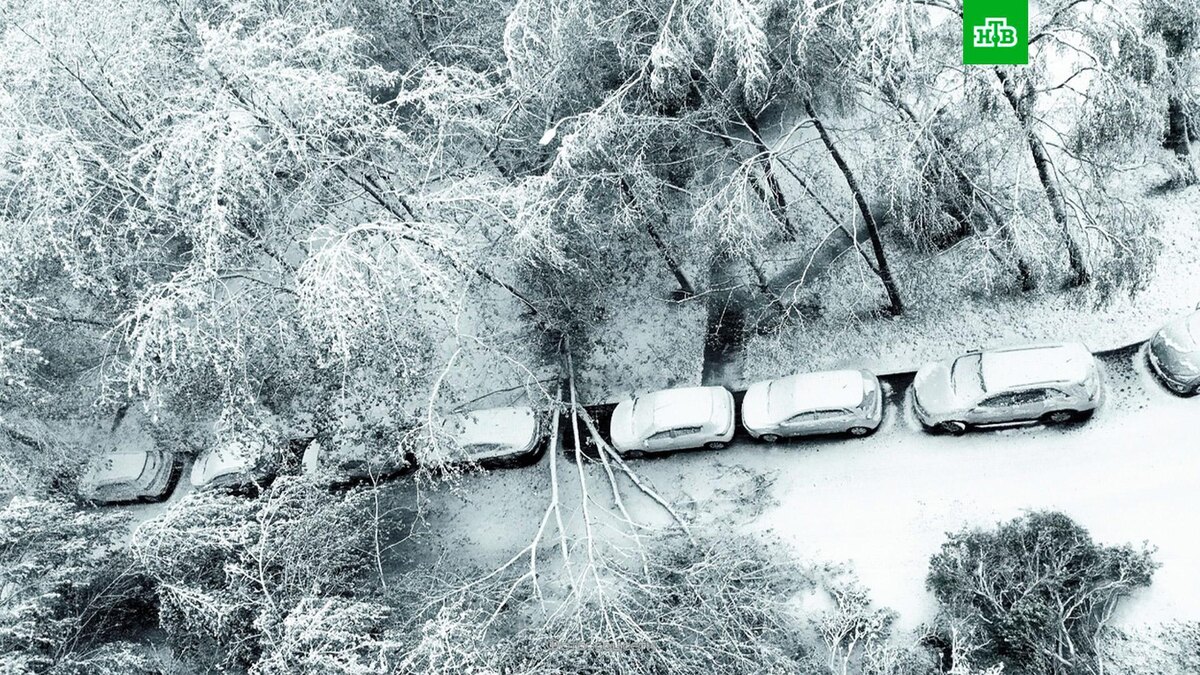    Клумбы в снегу и похолодание: циклон испортил погоду в центральной части России