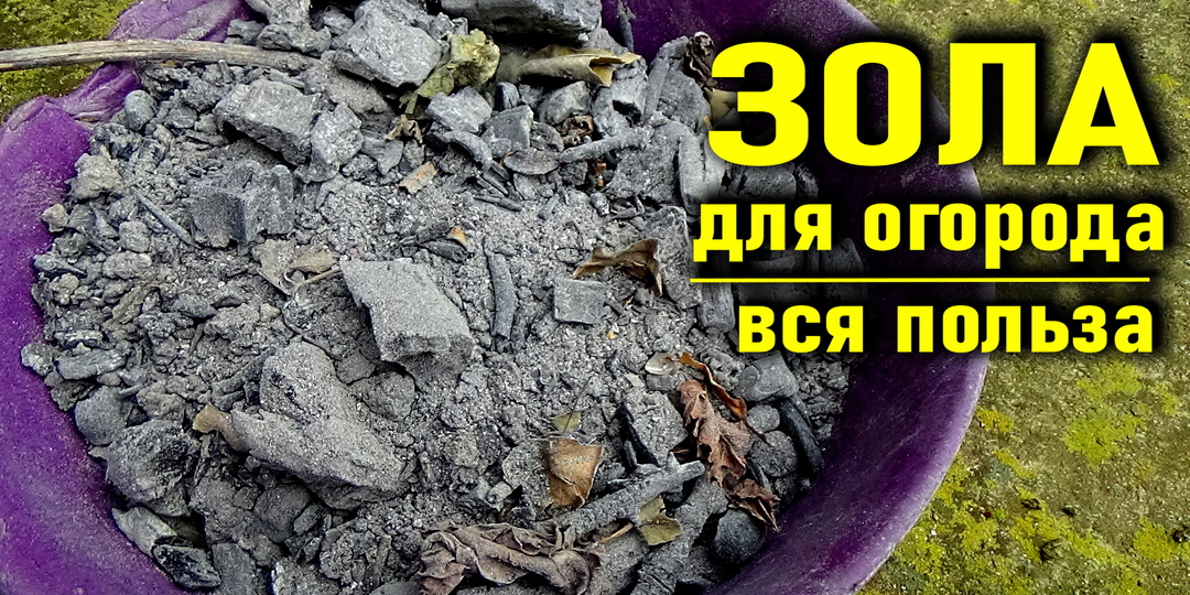 ПРИМЕНЕНИЕ ЗОЛЫ НА ОГОРОДЕ Вся ценность золы для огородника