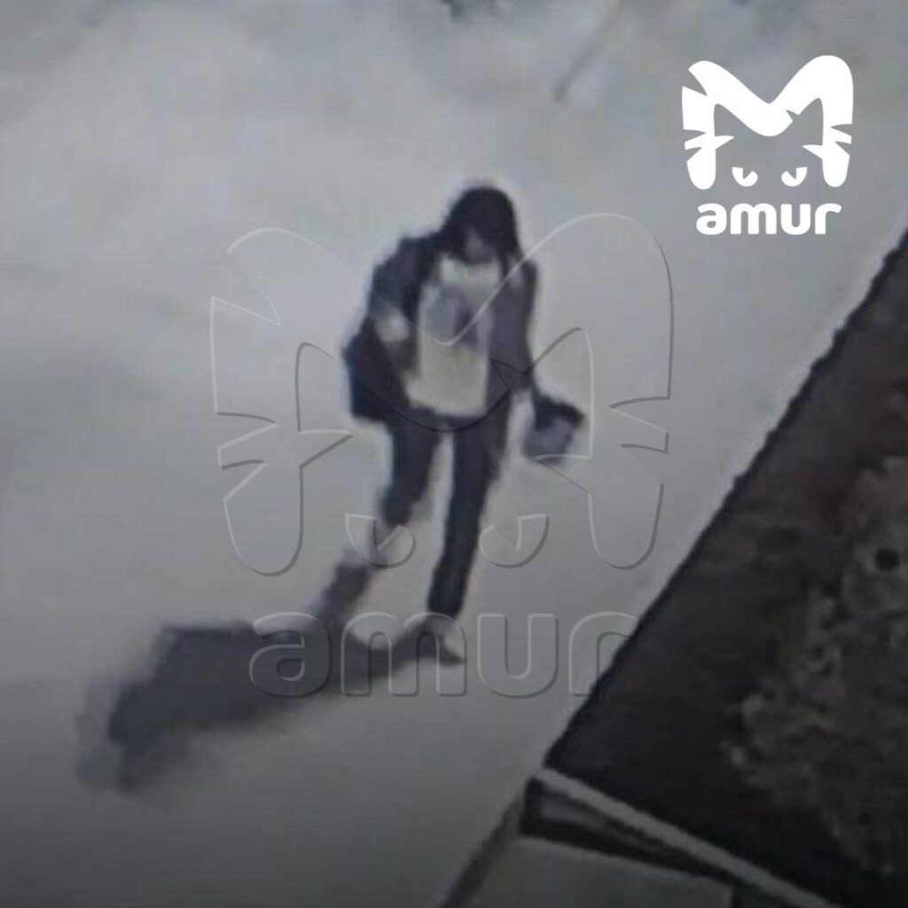    Фото: телеграм-канал Amur Mash