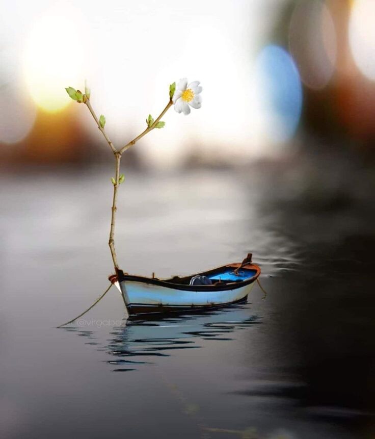 Фото из Pinterest