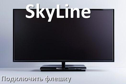 
Как к телевизору SkyLine подключить флешку и включить её
