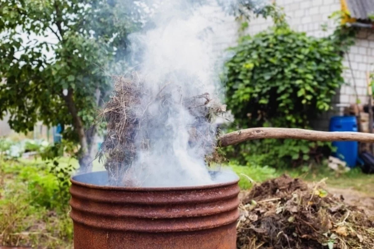    Дорогой дым.