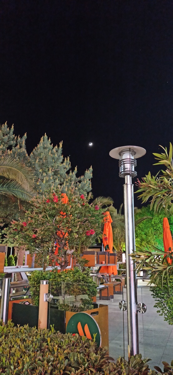 Фотографировала Луну молодую, но попало и кое-что другое на фото 😏