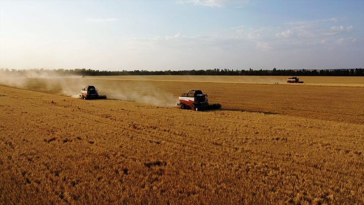    В Башкортостане рост производства продукции АПК в I квартале текущего года составил почти 102 процента