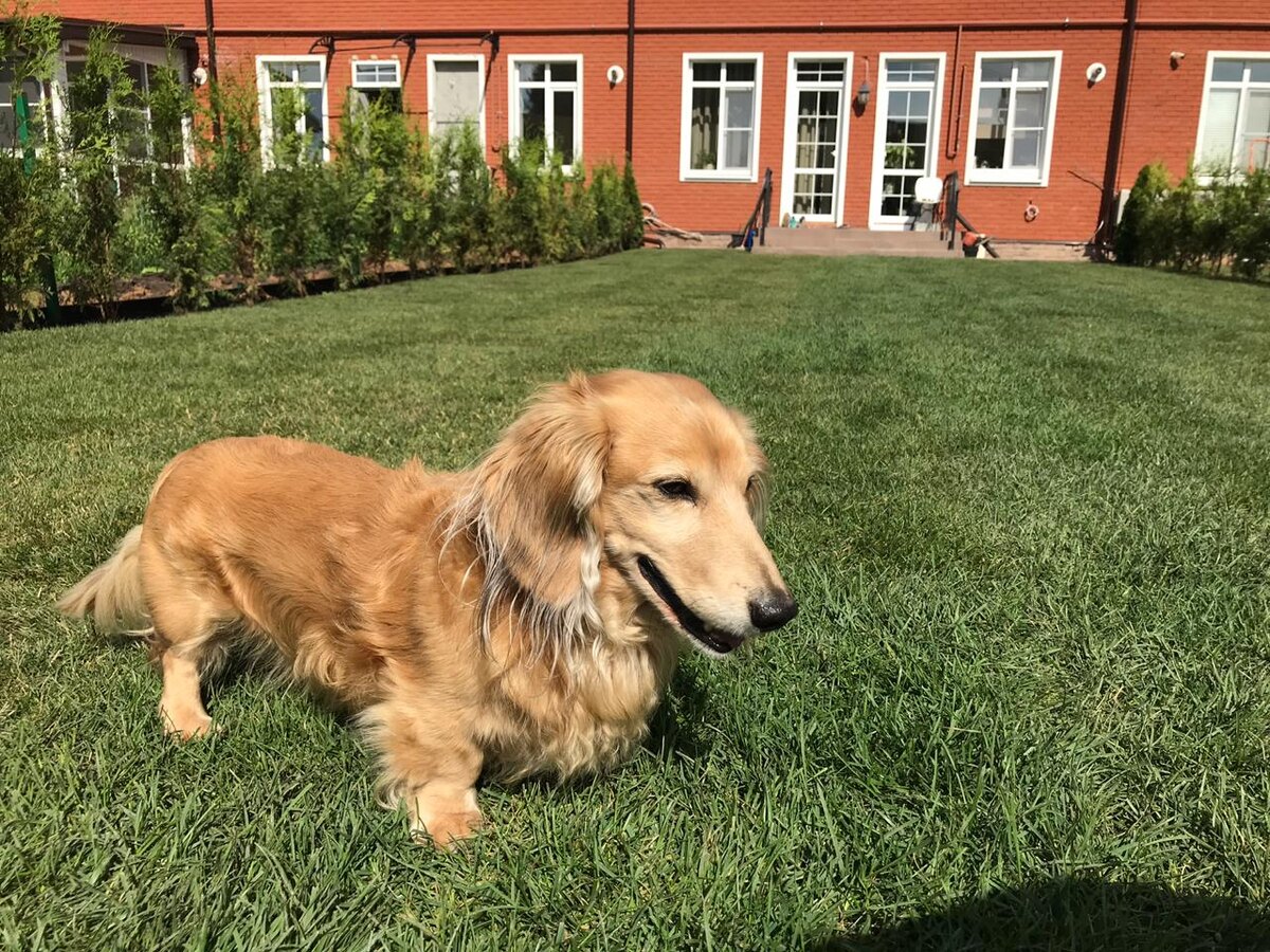 На фото наша работа - МО, Одинцовский район, КП Кембридж, 800 м2