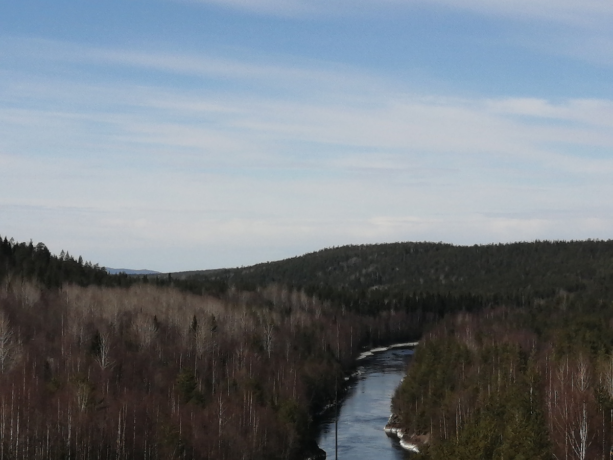 Река. Вид сверху! 