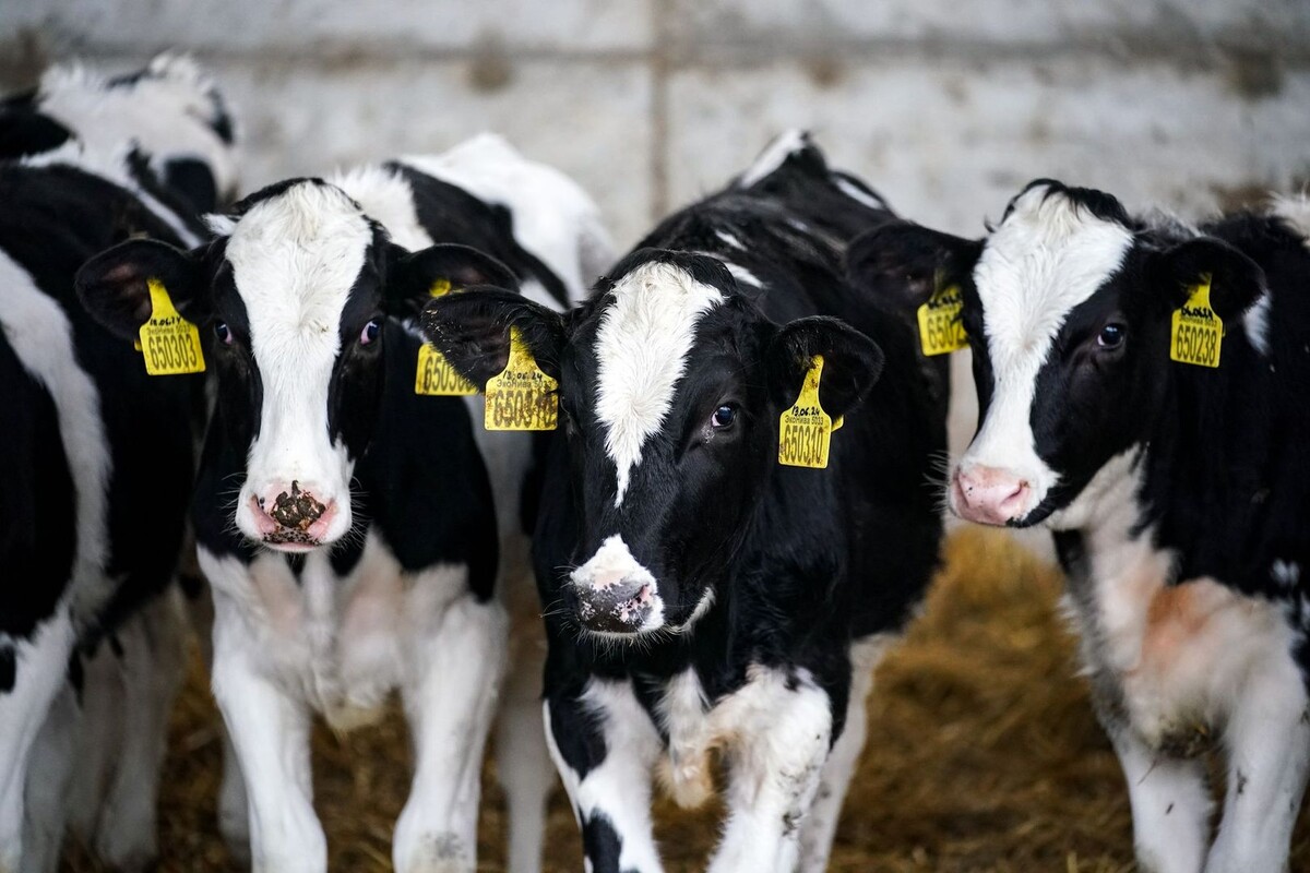     / Источник: © ИЗВЕСТИЯ/Сергей Лантюхов