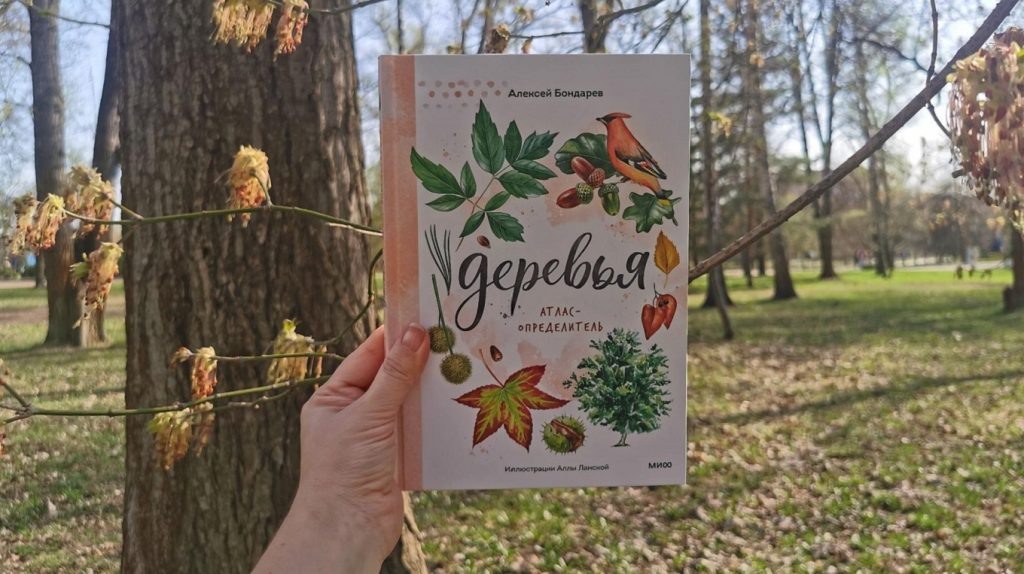     Как посадить дерево вместе с ребенком: отрывок из книги «Деревья. Атлас-определитель» Екатерина Ушахина