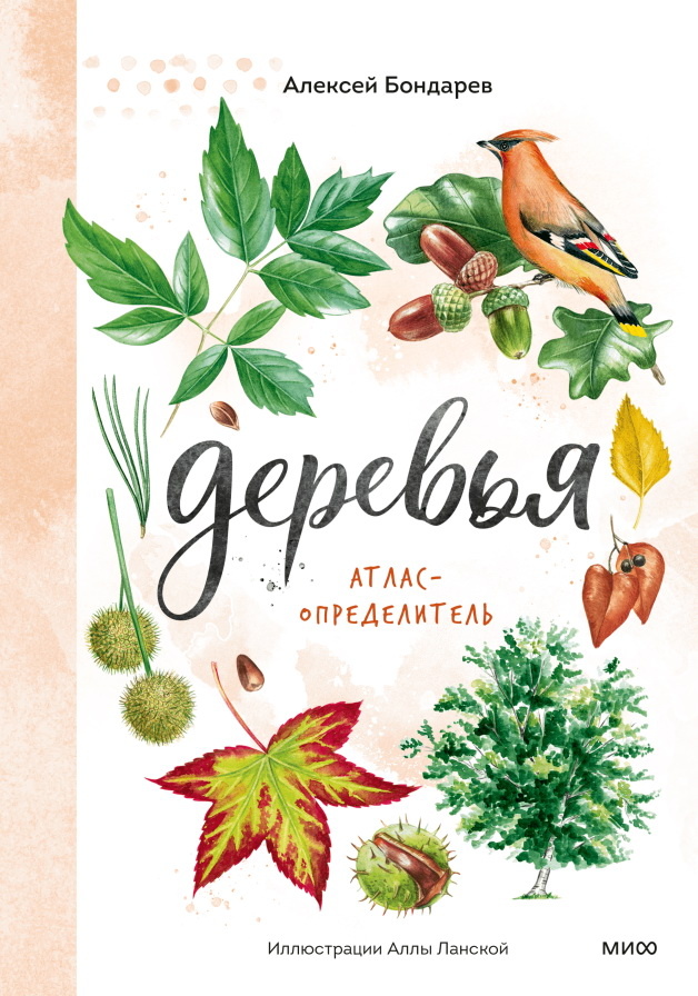 Как посадить дерево вместе с ребенком: отрывок из книги «Деревья. Атлас-определитель» Екатерина Ушахина  📷
