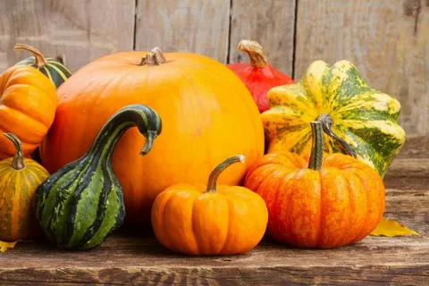 взято из яндекс картинки.