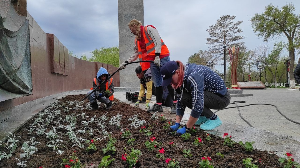  📷    Мемориал на проспекте Победы в Оренбурге украсит цветочный «ковер» Белов Михаил Александрович