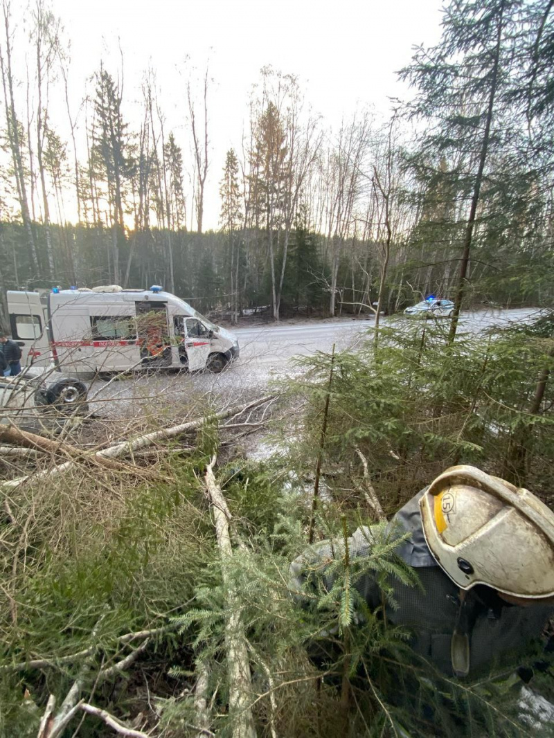    Два человека попали в больницу после ДТП в Карелии Telegram-канал "Госкомитет Карелии по безопасности"