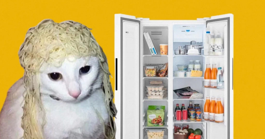 Как обманывают при выборе холодильника