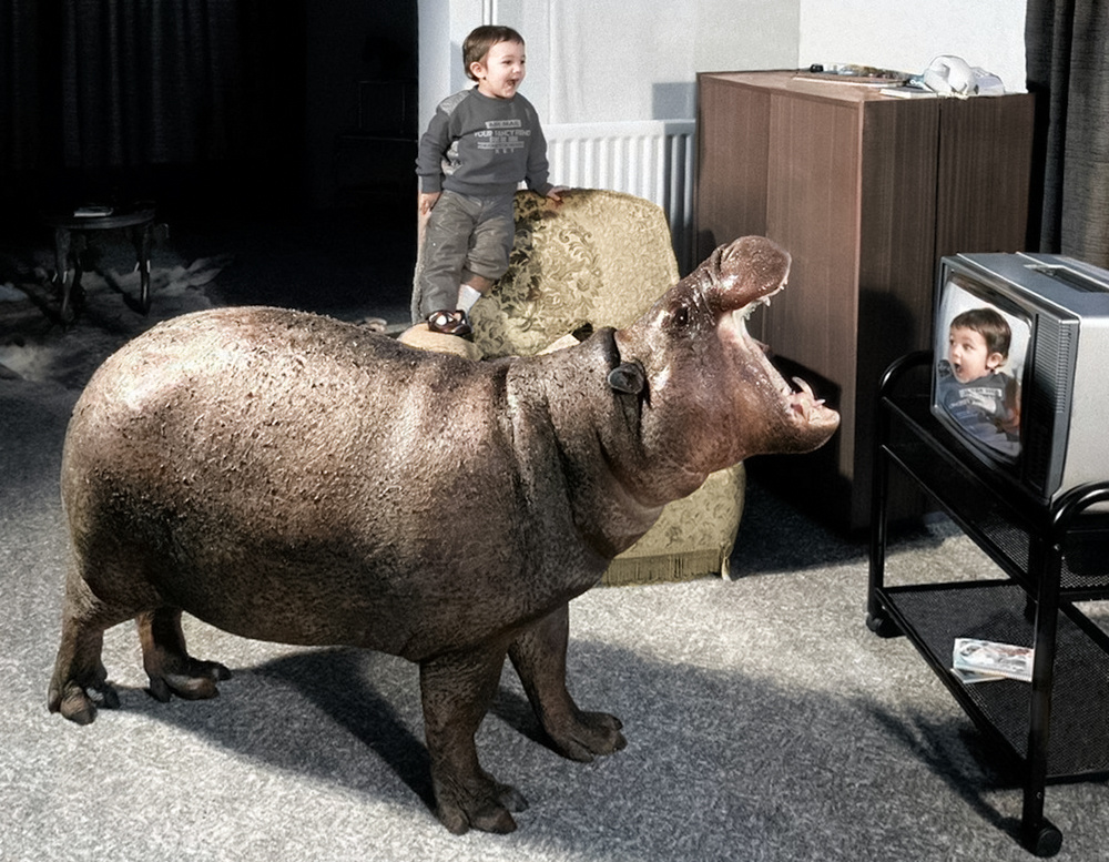 Фотограф: Джон Дрисдейл