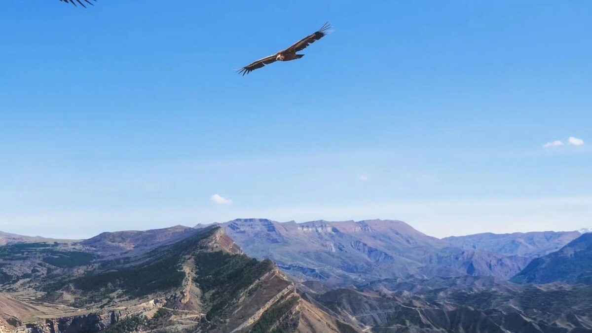    Фото: Stanislav71/Shutterstock/Fotodom