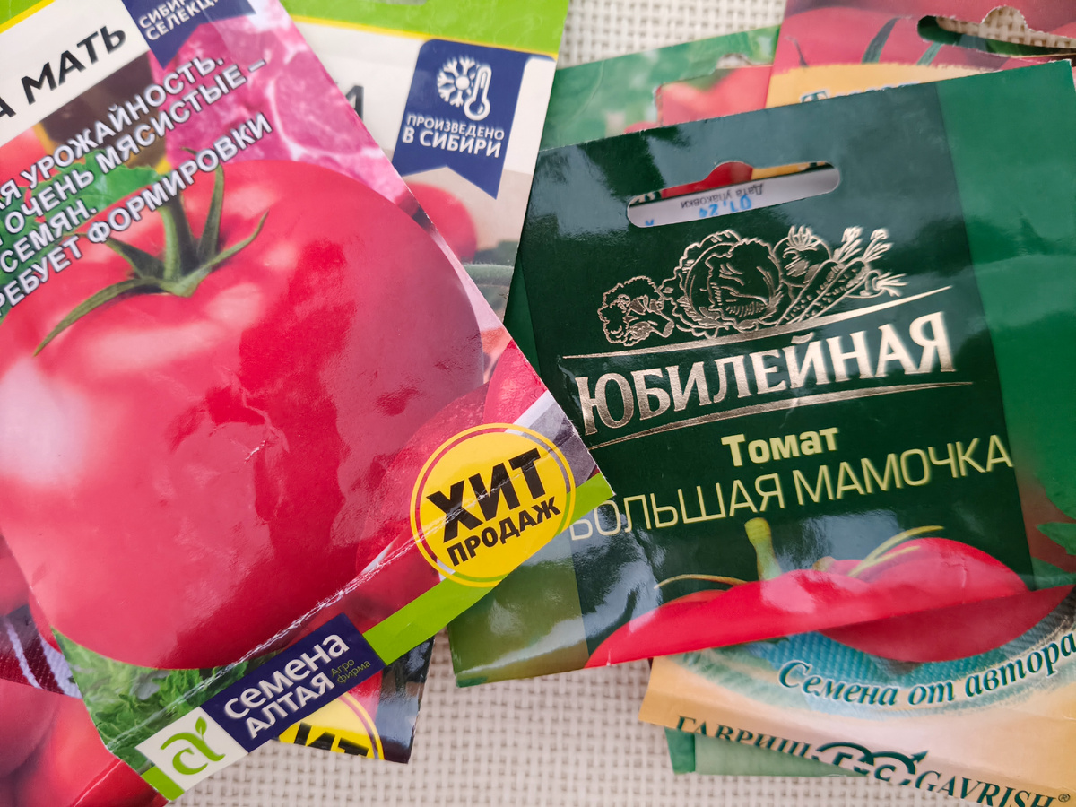 Семена Алтая vs Гавриш