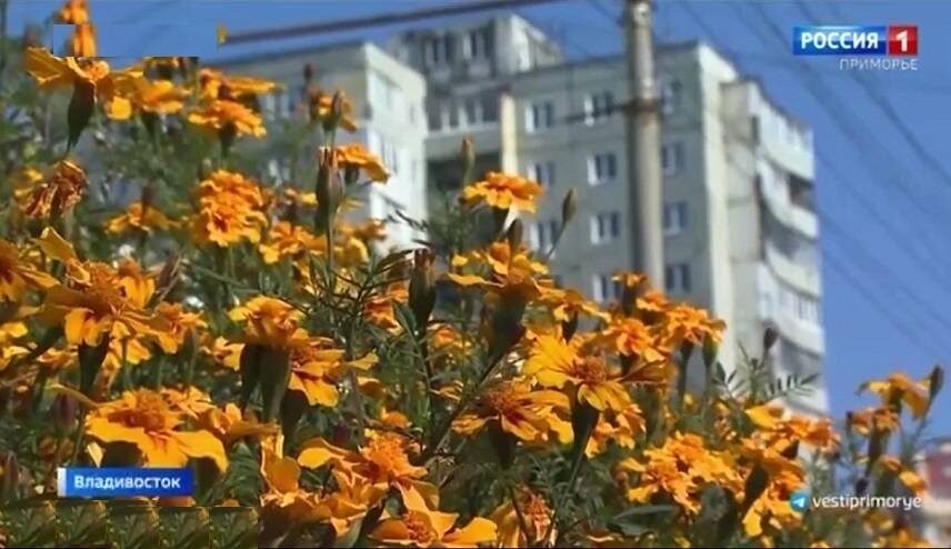    Источник фото: