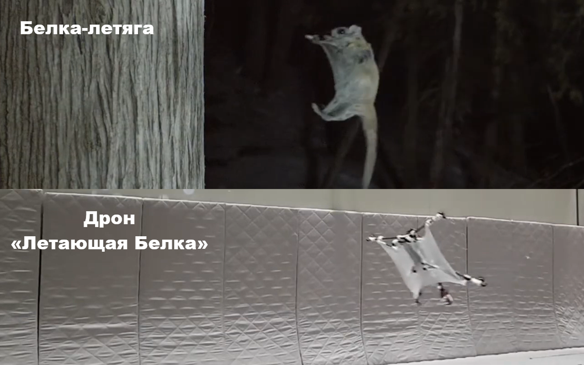 Скриншот с видео "Flying Squirrel drone", представленный Dohyeon Lee, Jun-Gill Kang, Soohee Han.