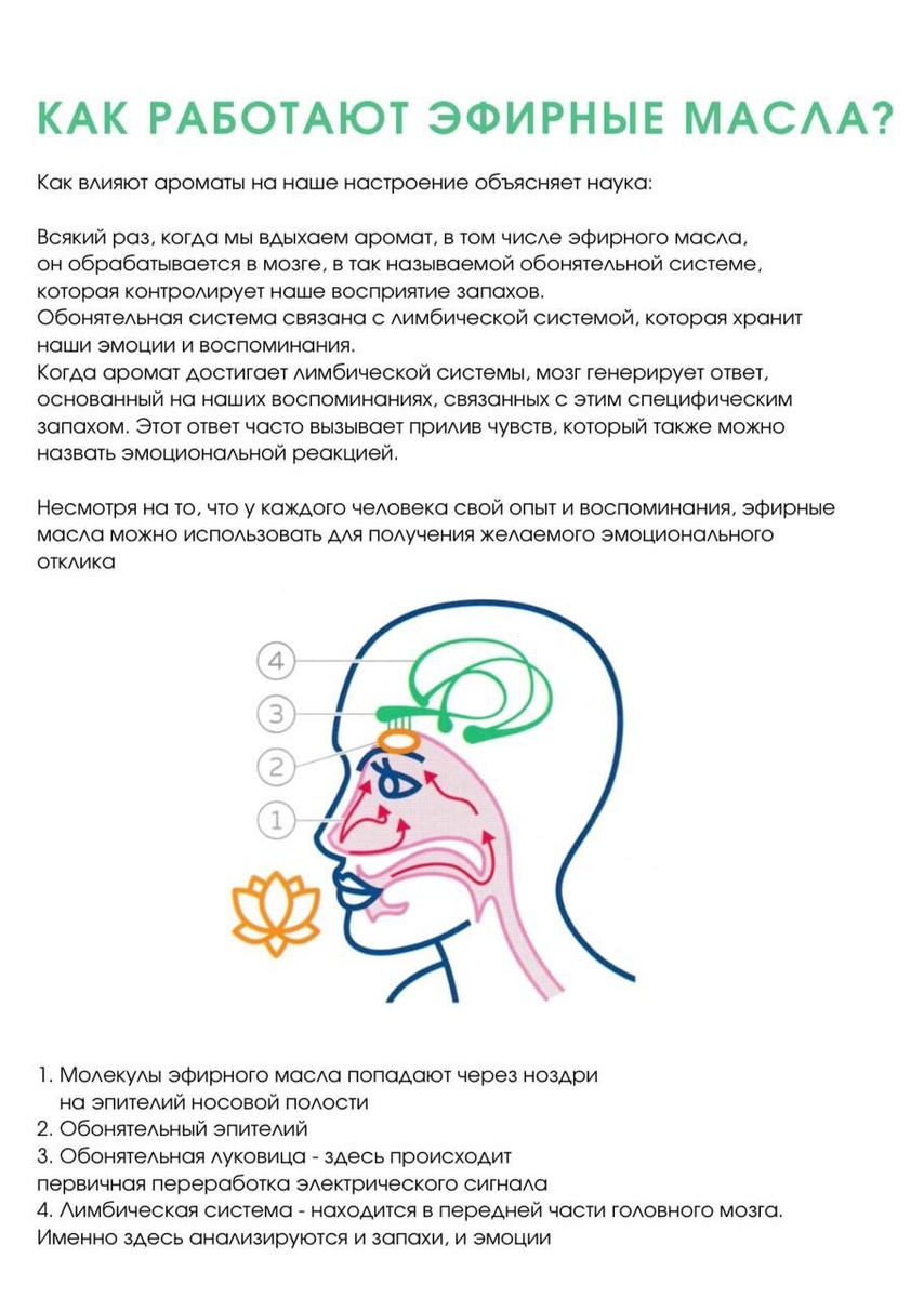 Иллюстрация из открытого интернет-источника