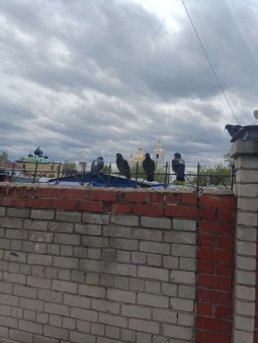 Припарковались рядом с центром