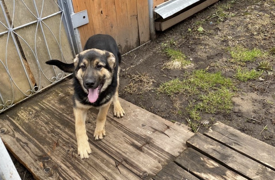 с 29 марта  Вита дома.