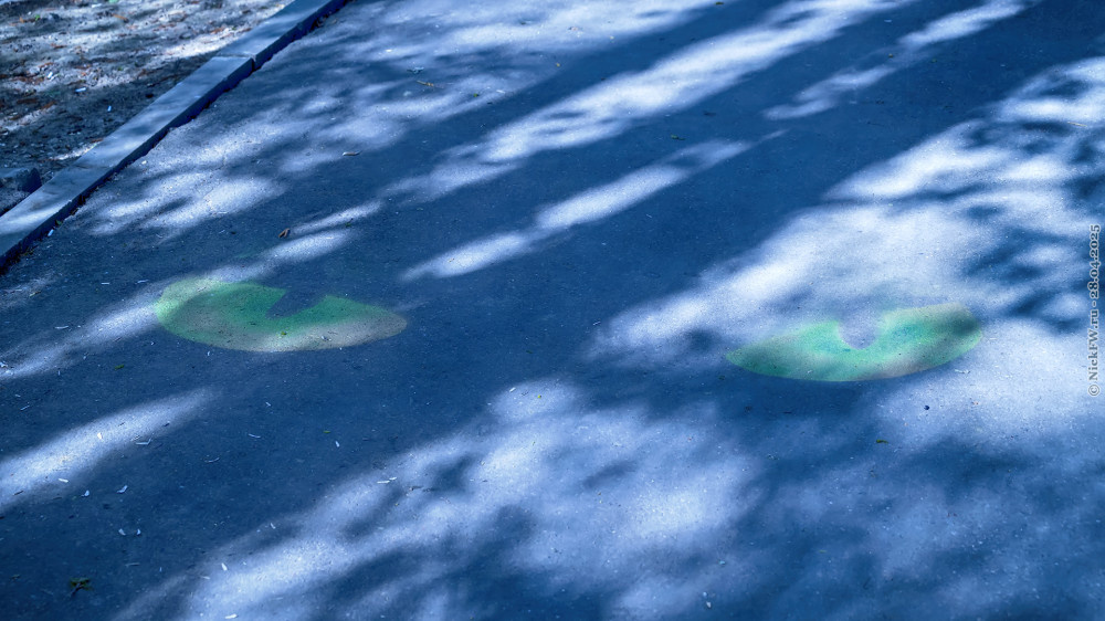 Тропьи глаза... © NickFW.ru — 28.04.2025г.