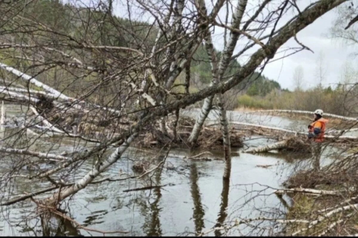    Спасатели убрали завал деревьев на реке Инзер в Башкирии