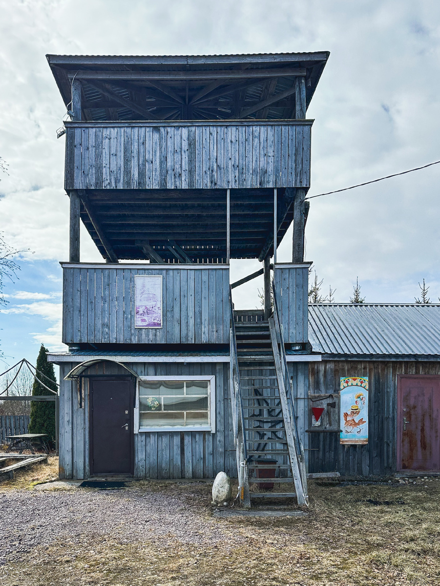 Башня для наблюдения за дикими гусями
