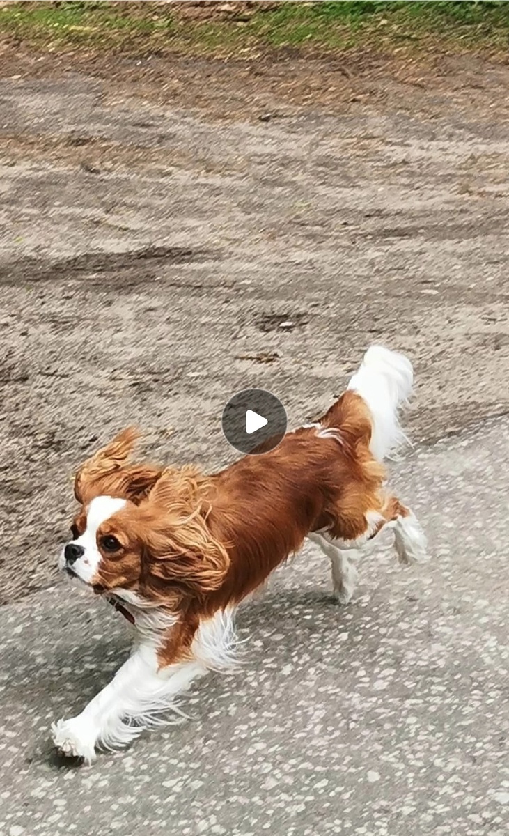 Инфинити Эллис, 01.05.2025 г.