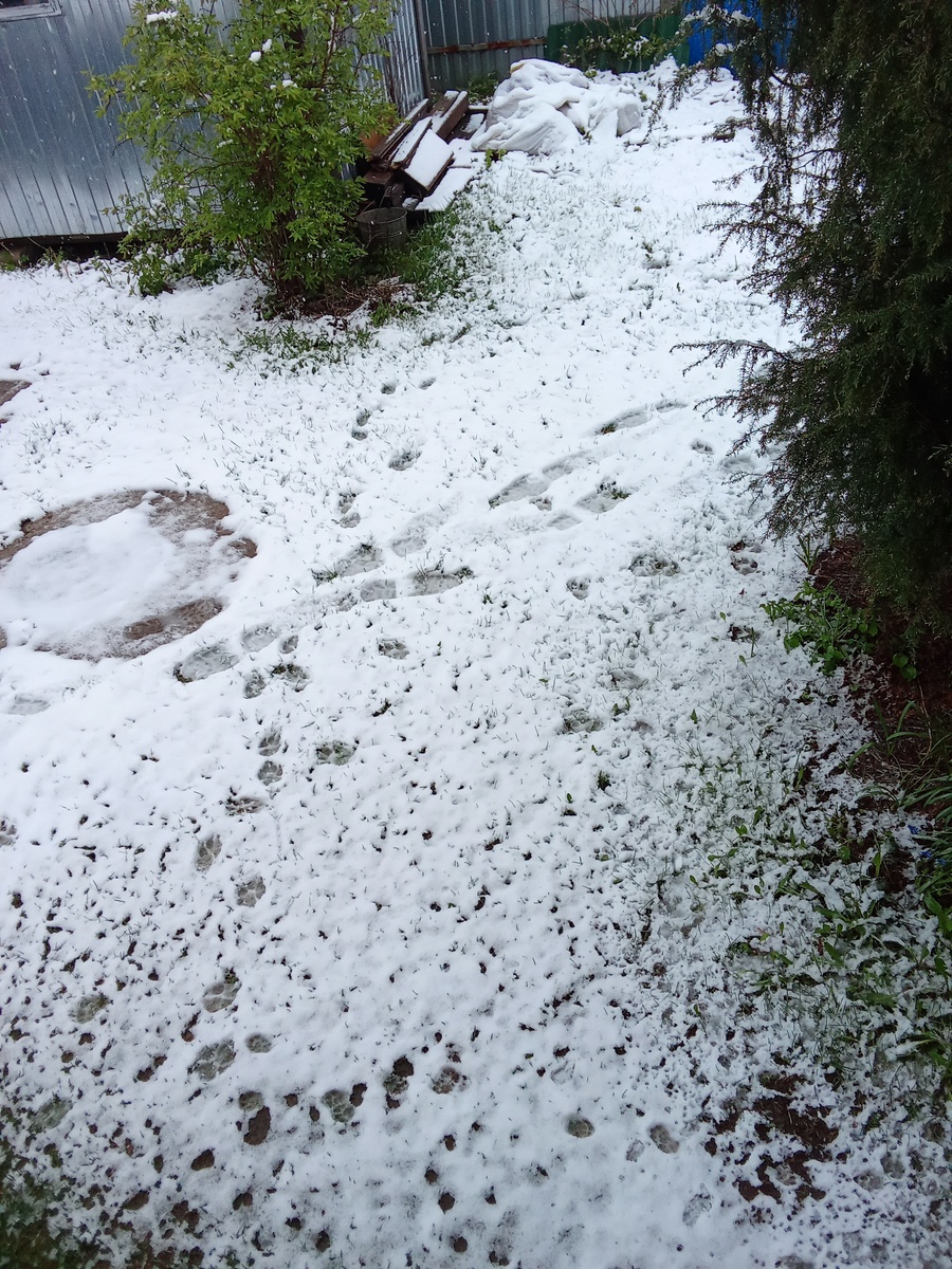 Личное фото