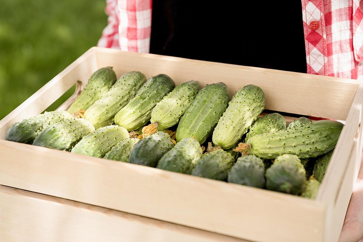    Фото: Freepik / Freepik.com