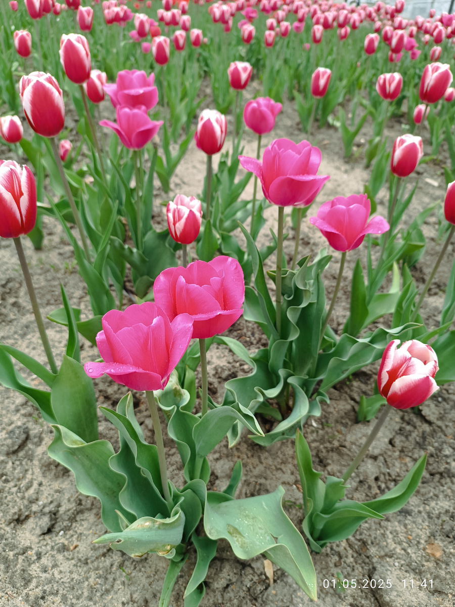 Ну и скрашу историю позитивной форточкой.