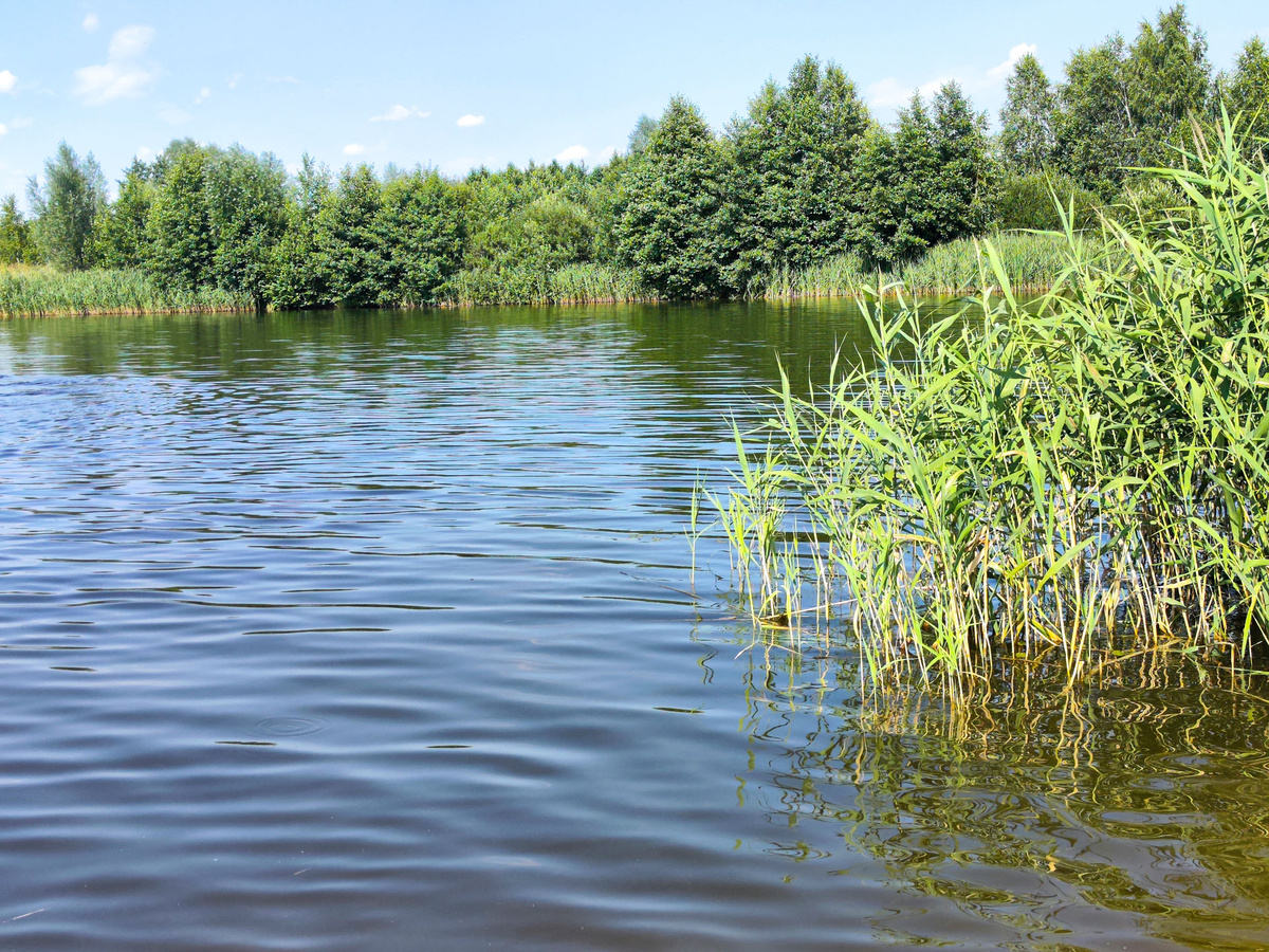 Водоем регулярно проверяют.  Фото: ФедералПресс / Ксения Кобалия