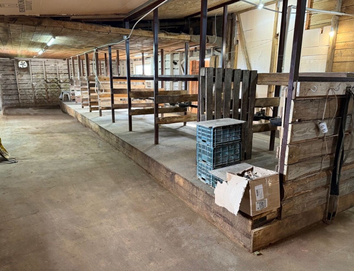 Фото из открытых источников интернета