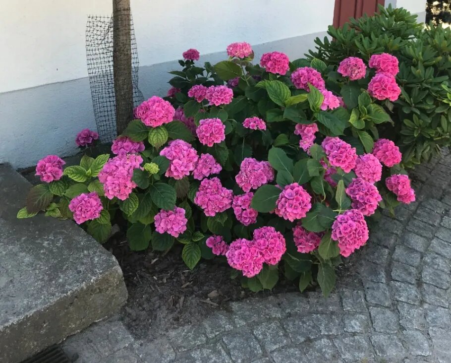 Фото из личного архива