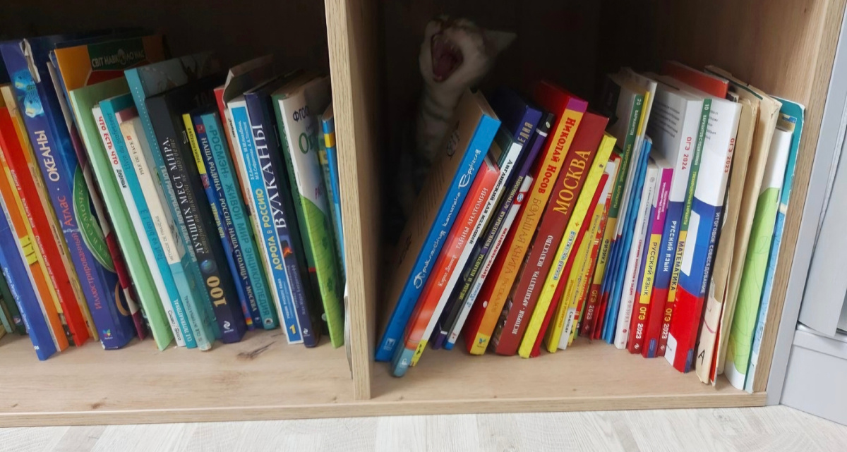 Пойдет направо, архитектуру Москвы читает, налево - о дорогах в Россию говорит.