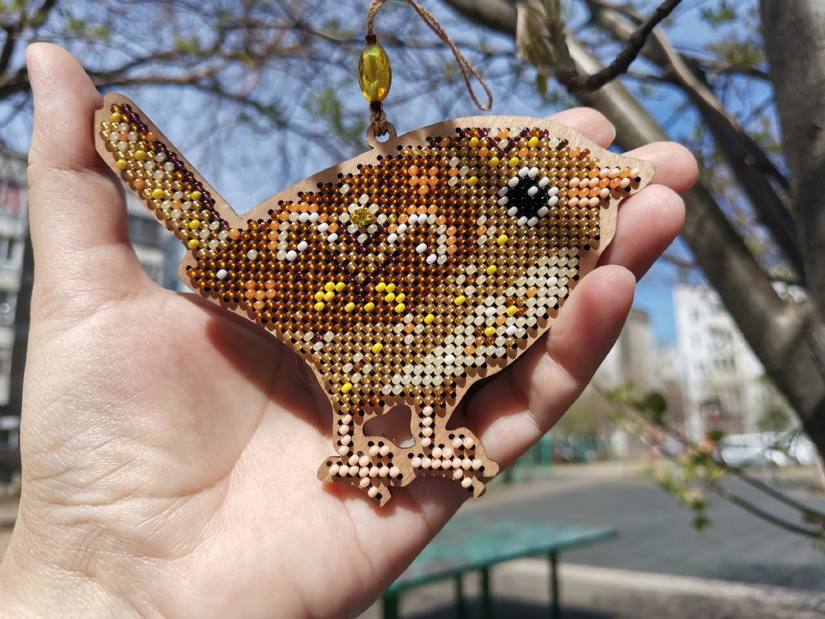 Фото сделано больше чем через месяц после отшива :) Март у нас ещё грязным и снежным был. А золотой пичужке нужно солнышко!