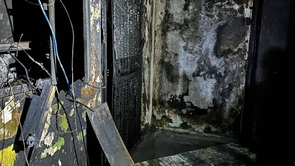 Фото: ГУ МВД по Петербургу и Ленобласти