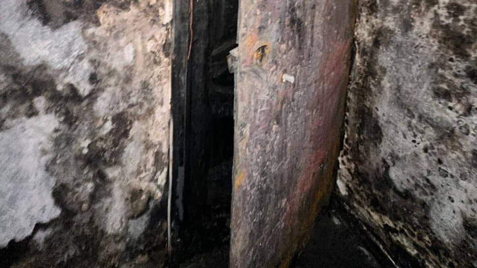 Фото: ГУ МВД по Петербургу и Ленобласти