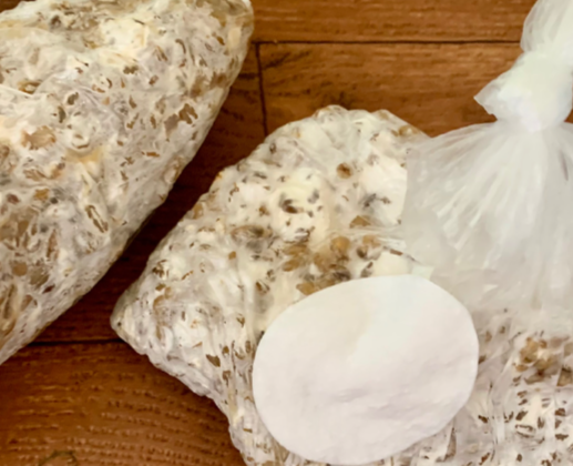 Такой мицелий должен получиться