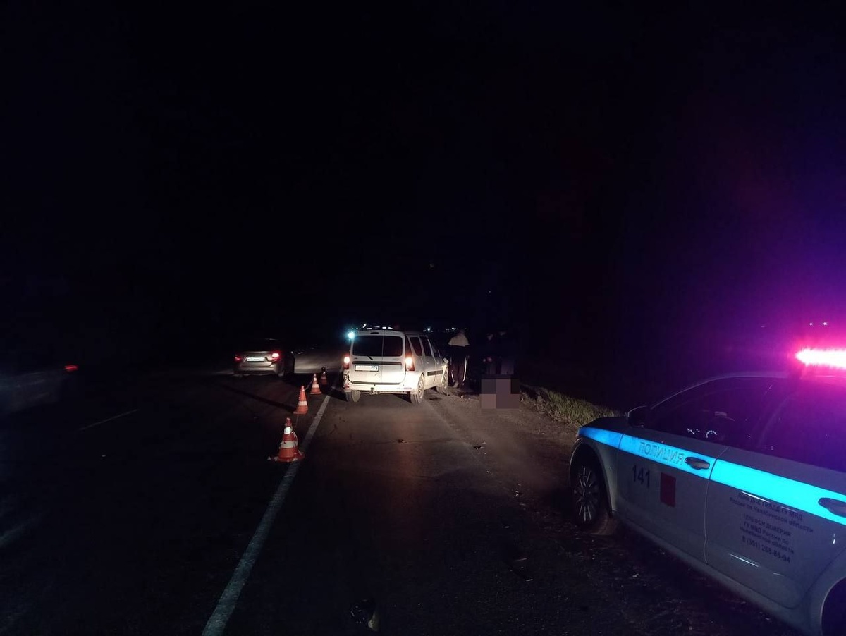 Фото: пресс-служба Госавтоинспекции Челябинской области