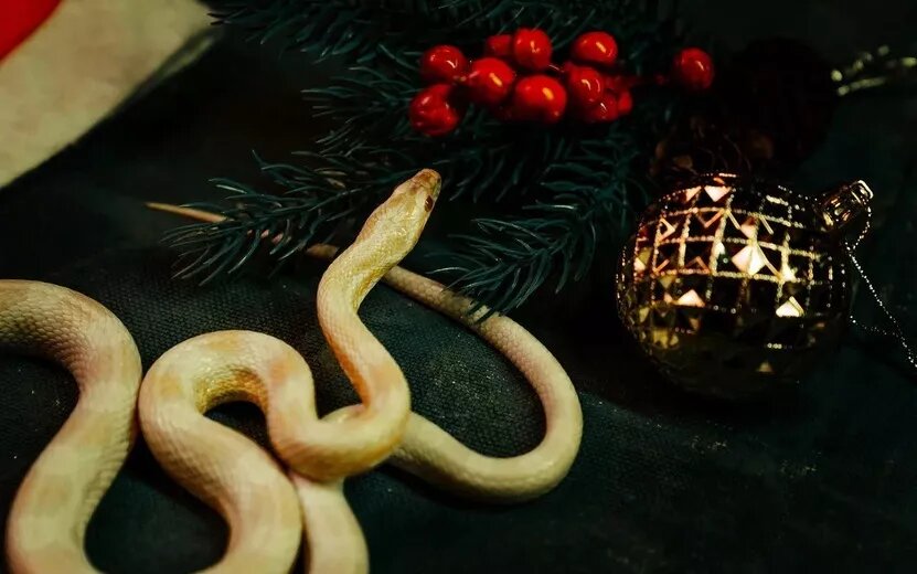    Деловая удача и помощь свыше: кто по гороскопу 3 мая найдет надежных союзников?