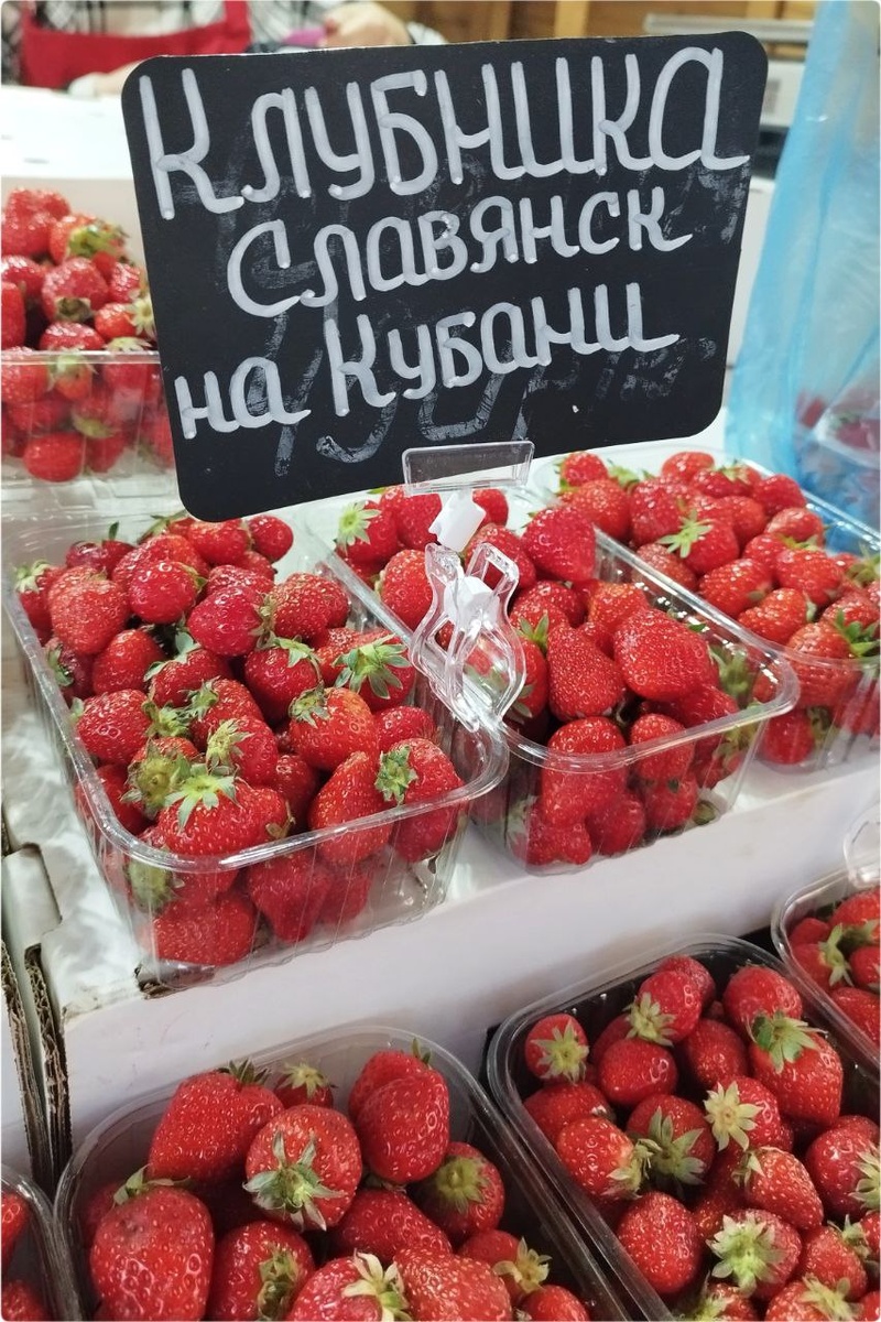 Клубника Славянск-на-Кубани (24 апреля 2025)