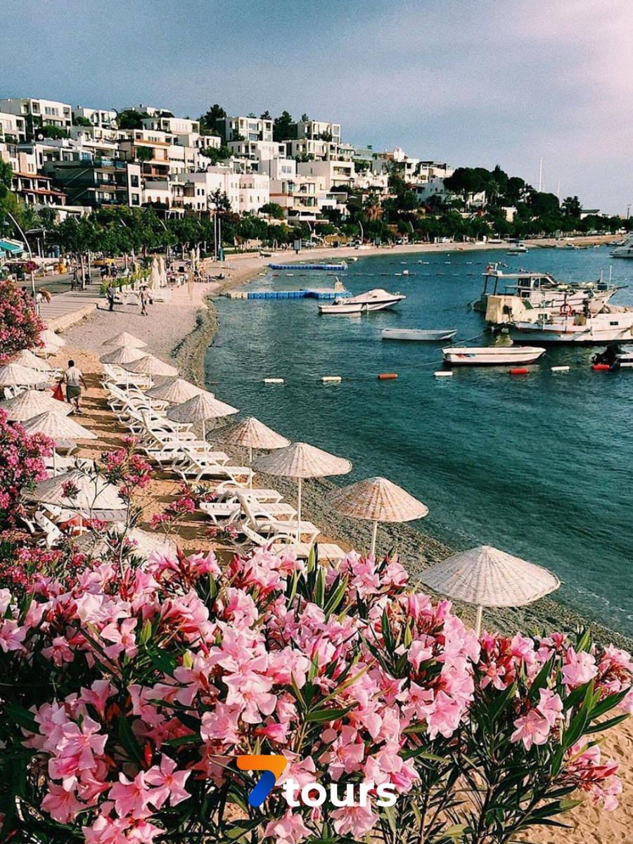 Источник: фото из Instagram* @alilu_alilu *Instagram (запрещён в России, принадлежит Meta)