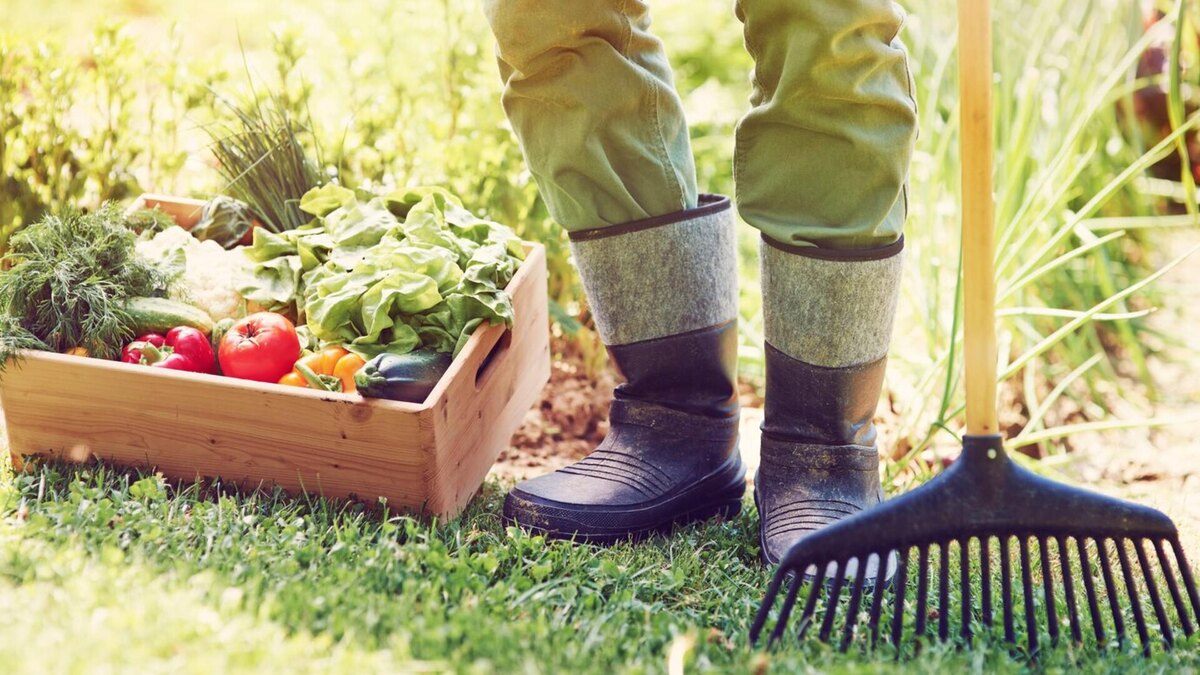 Фото: freepik.com