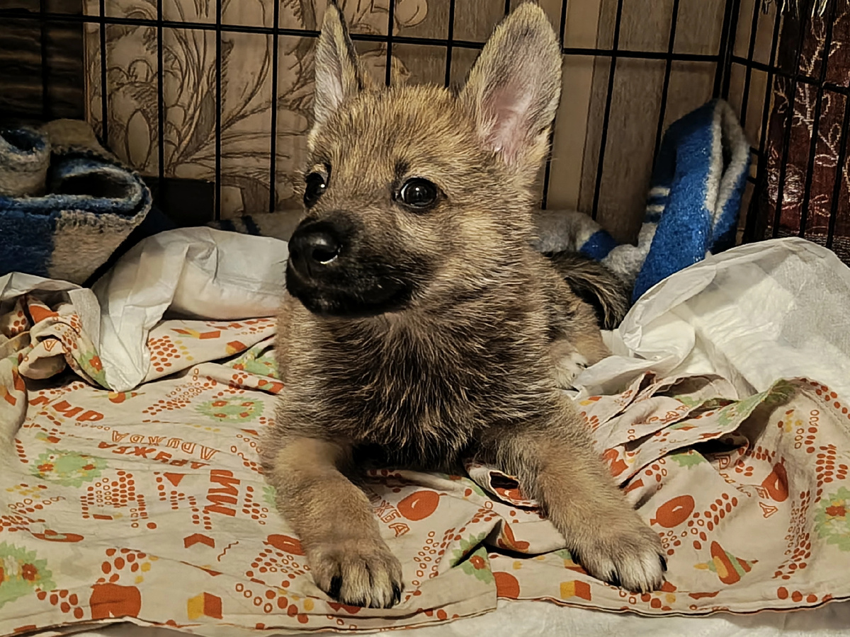 Малыш совсем 