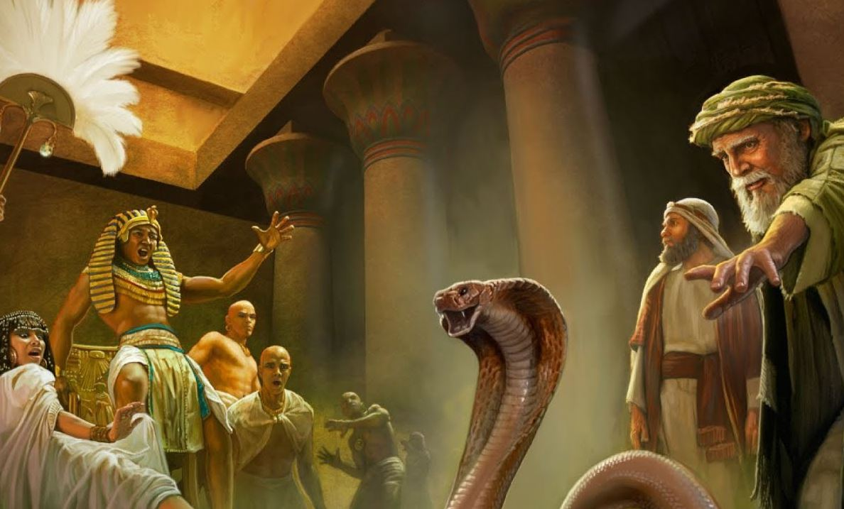 Источник: https://islamnews.ru/nastavlenie-nastavlenyu-rozn