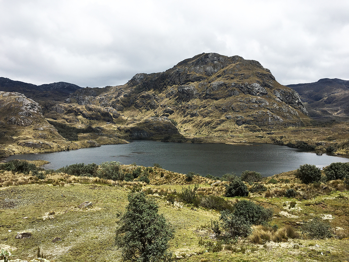 Национальный парк Кахас, Эквадор. Фото автора